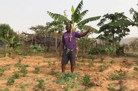 GOING GREEN: Ibrahim Salifu says the world doesn’t need chemical fertilizer