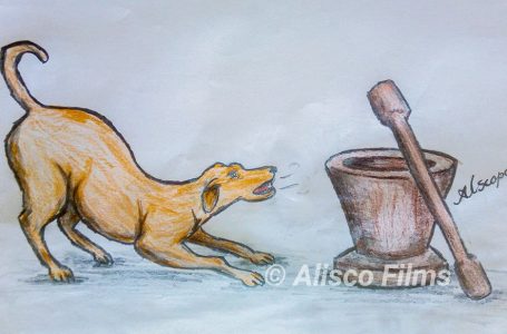 Abass Safian artwork captures Mama Rams hit song ‘Baa Wohi Toli’