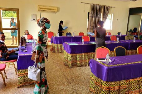 Protection against child abuse; SWIDA-GH organizes workshop.