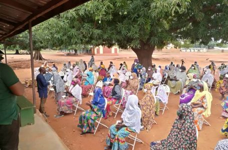 Tamale North MP extends support to 100 widows