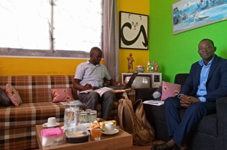 Page 48,49 & 50 of the NPP 2016 manifesto could save the Creative Arts Industry – Mr. Nayi