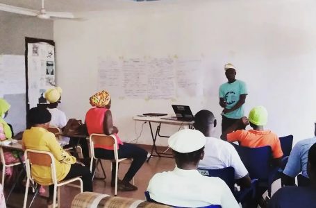 Sanatu Zambang holds media usage workshop for persons in the informal sector