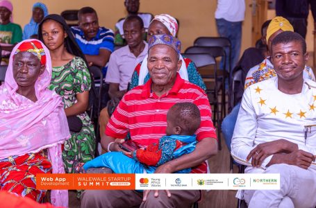 Walewale start-up summit 4th edition- The year of nursing mothers